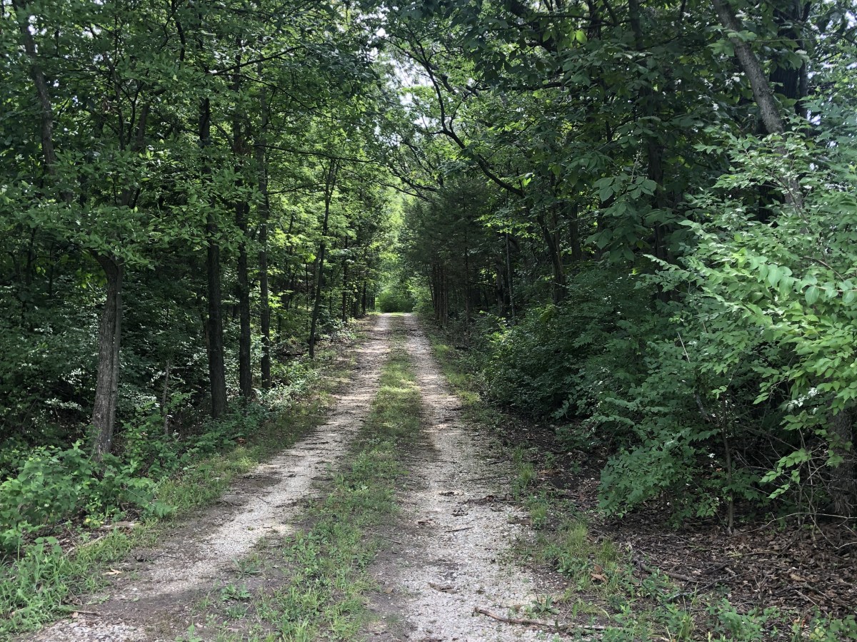 Smith Chapel Cemetery at Snow&nbsp;Hill